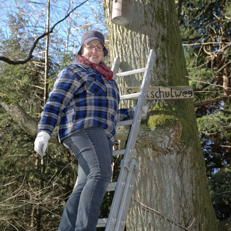 Ein Mitglied der Aktiven Gaiberger steigt auf einer Leiter zu einem Nistkasten im Gaiberger Wald